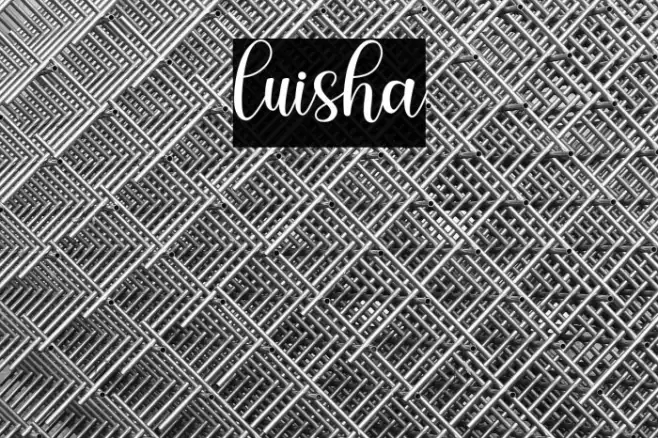 luisha Example 2