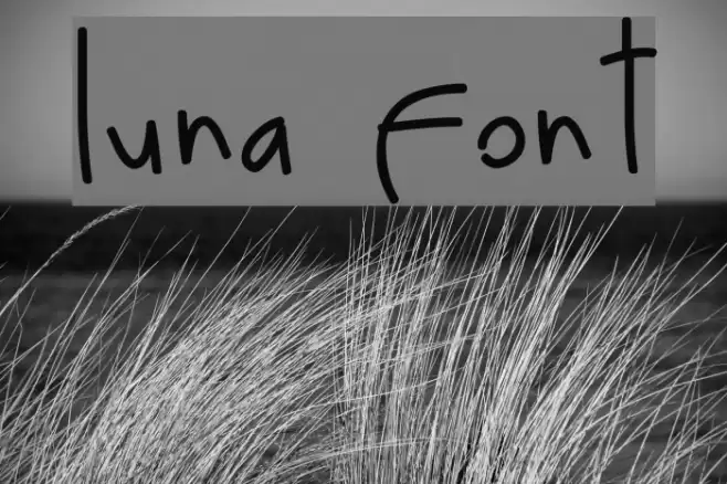 luna Font examples