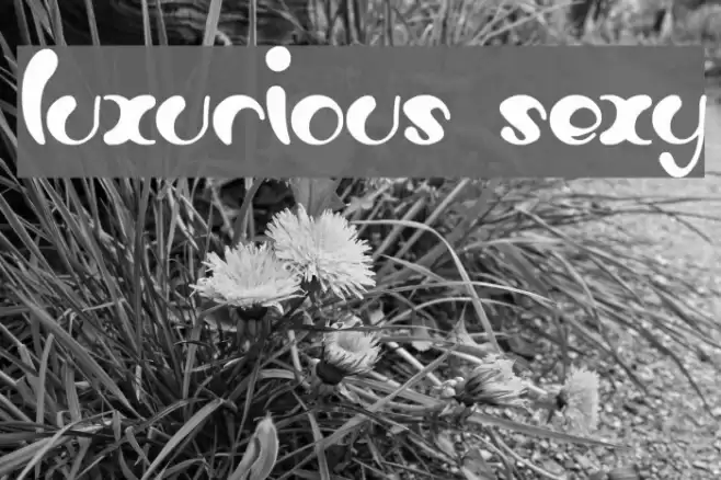 luxurious sexy Font examples