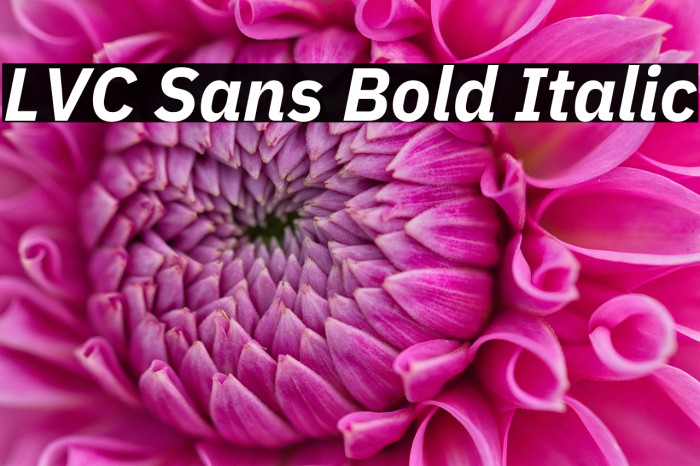 LVC Sans Bold Italic Example 1