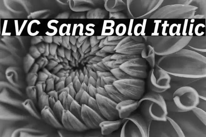 LVC Sans Bold Italic Font examples