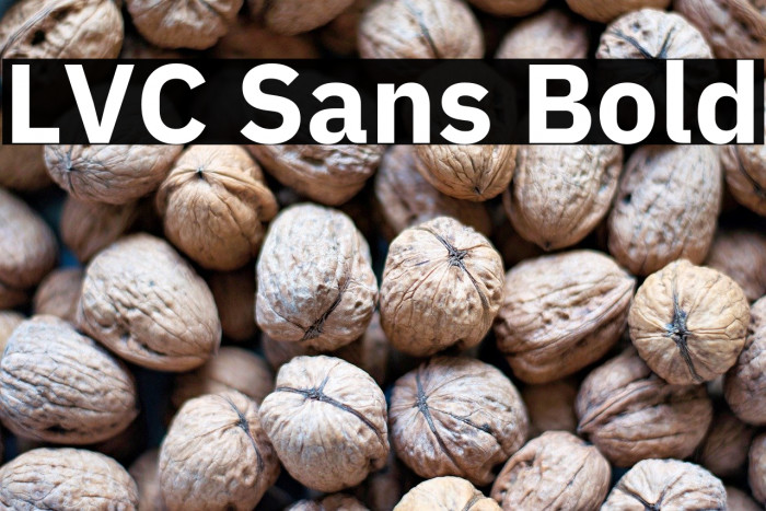 LVC Sans Bold Example 1