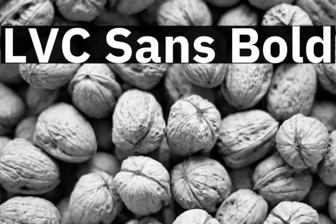 LVC Sans Bold Font examples