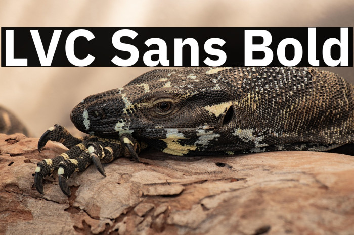 LVC Sans Bold Example 2