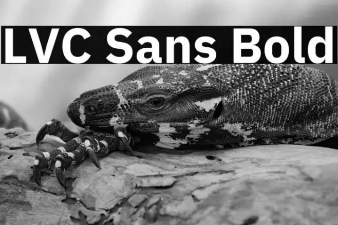 LVC Sans Bold Font examples