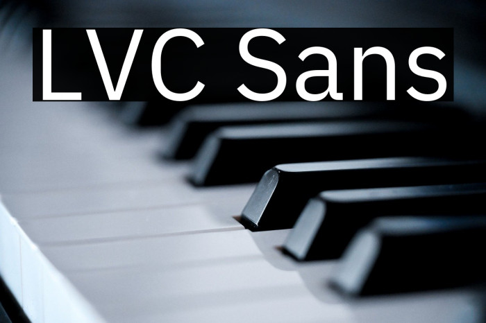LVC Sans Example 3