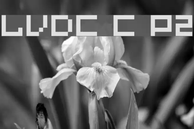 LVDC Common Pix2 Schriftart examples