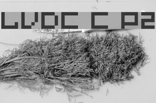 LVDC Common Pix2 Schriftart examples