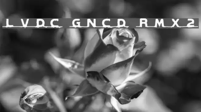 LVDC GNCD RMX2 Font examples