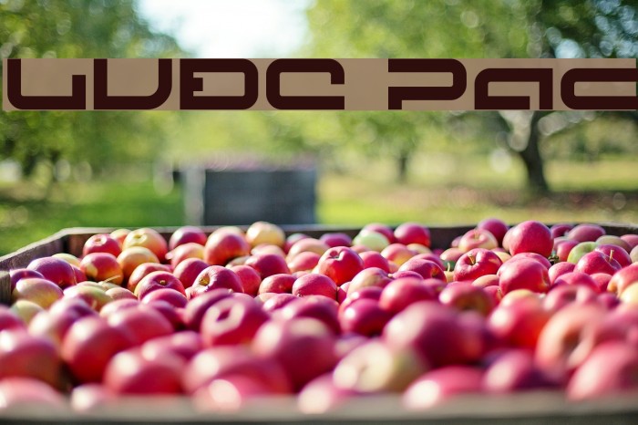 LVDC Papicon Font examples