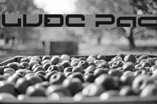 LVDC Papicon Schriftart examples