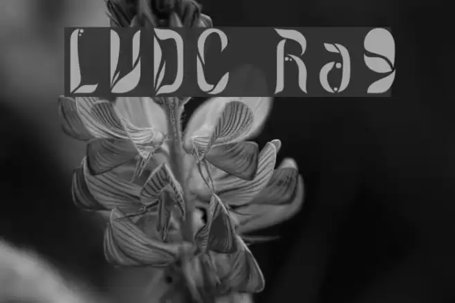 LVDC Romantic9 Font examples