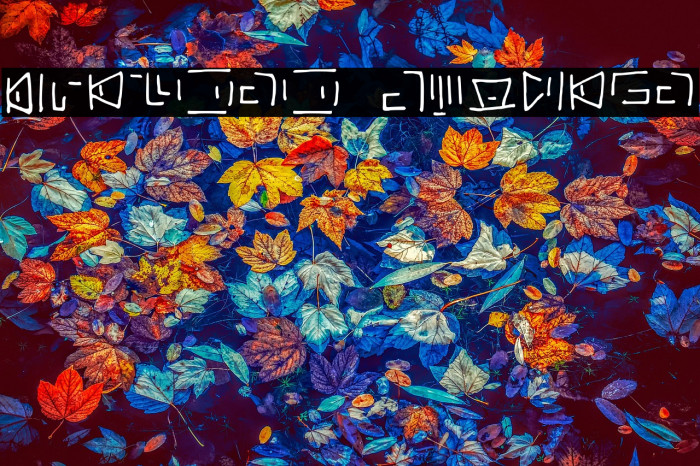 Lvlcnrn Regular Example 2