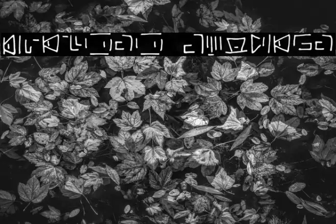 Lvlcnrn Regular Font examples