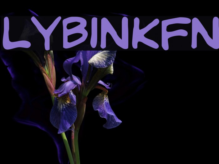 LYBinkyFont Font examples
