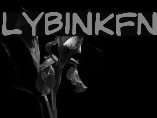 LYBinkyFont Polices examples