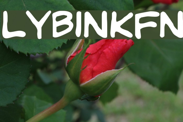 LYBinkyFont Font examples