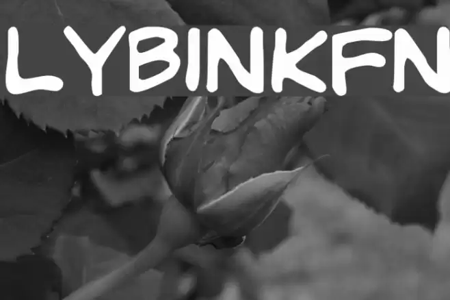 LYBinkyFont Polices examples