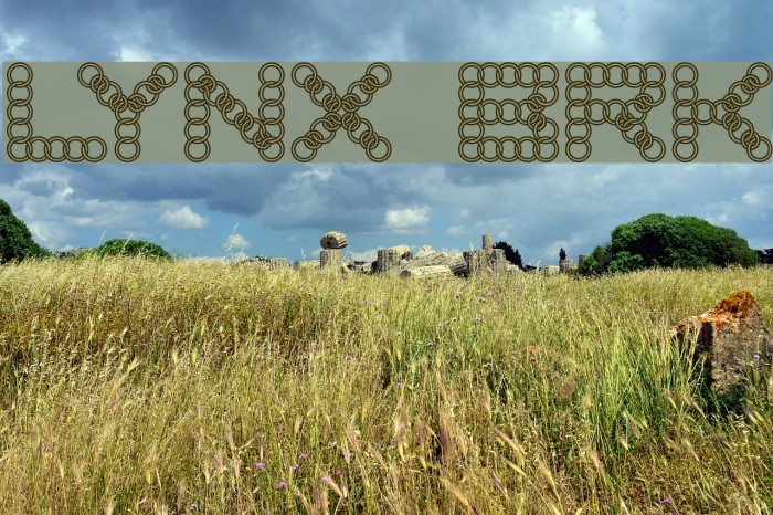 LYNX BRK Font examples