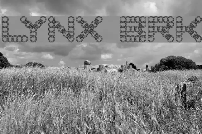 LYNX BRK Example 2
