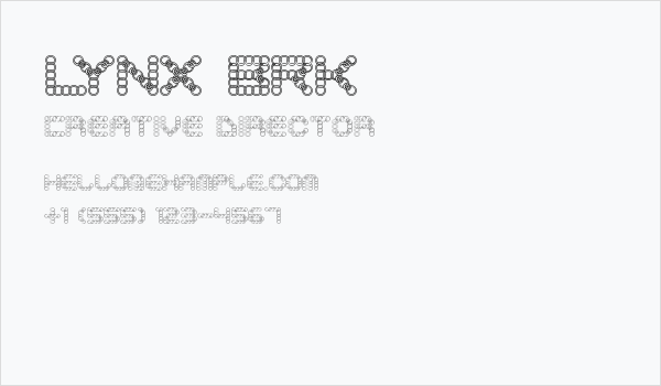 LYNX BRK Business Card