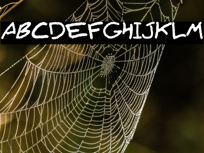 Lyajka(FONT BY LYAJKA) Example 1