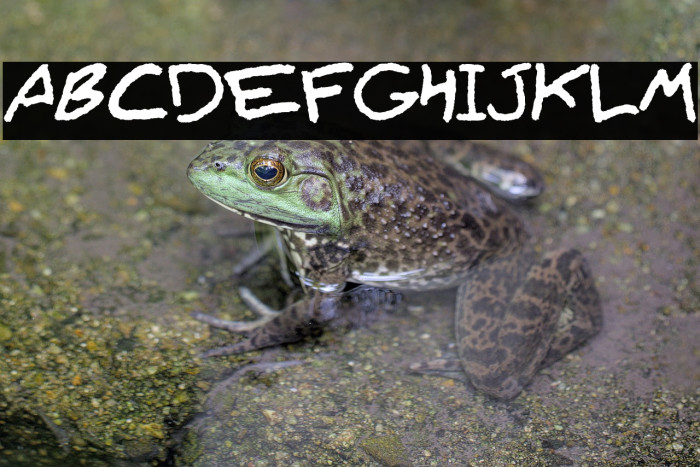 Lyajka(FONT BY LYAJKA) Example 2