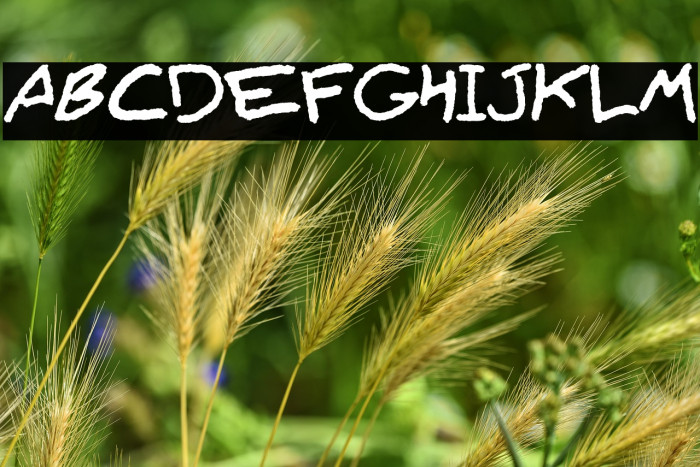 Lyajka(FONT BY LYAJKA) Example 3