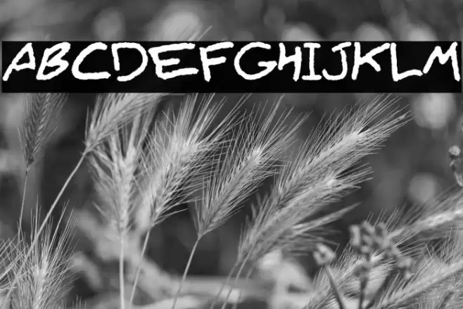 Lyajka(FONT BY LYAJKA) Font examples