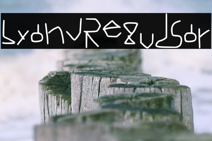 Lyand Regular Example 2