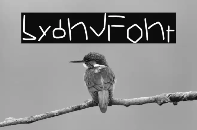 Lyand Caratteri examples