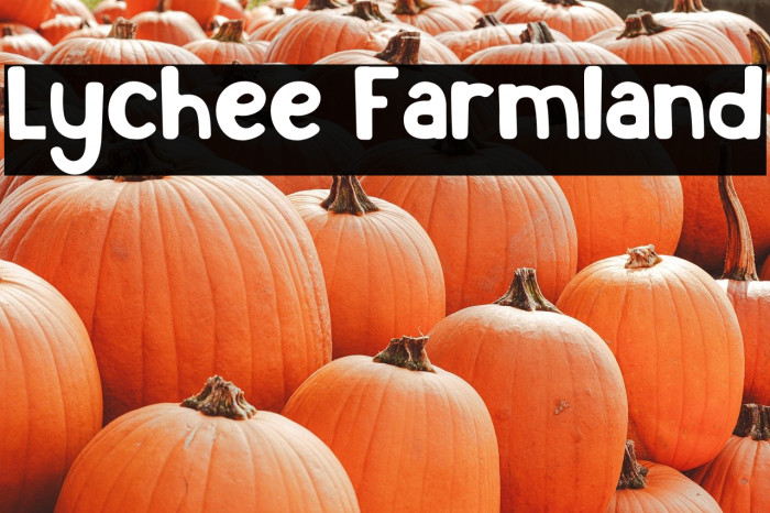 Lychee Farmland Example 3