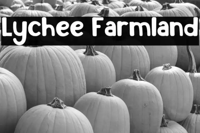 Lychee Farmland Font examples
