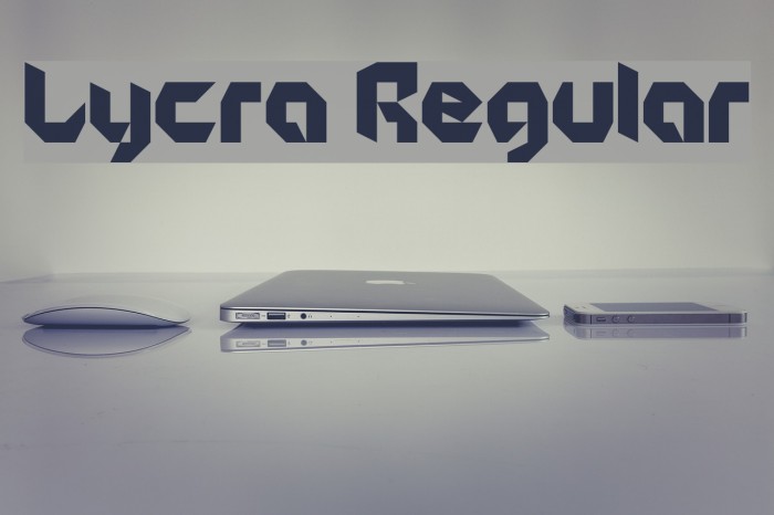 Lycra Regular Example 2