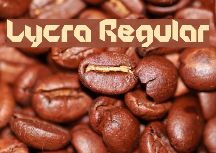 Lycra Regular Example 3