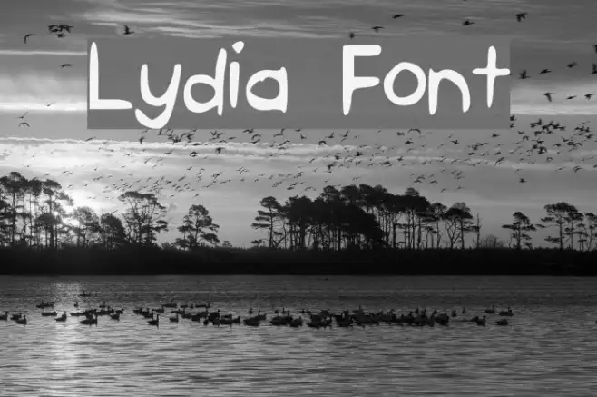 Lydia Example 3