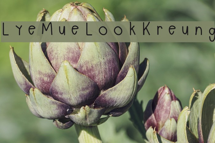 LyeMueLookKreung Polices examples
