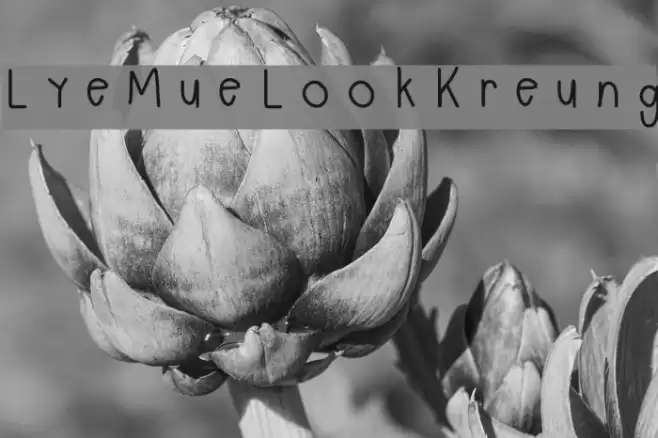 LyeMueLookKreung Font examples