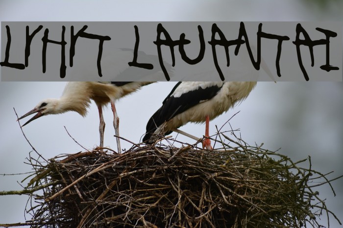 Lyhyt Lauantai Example 2