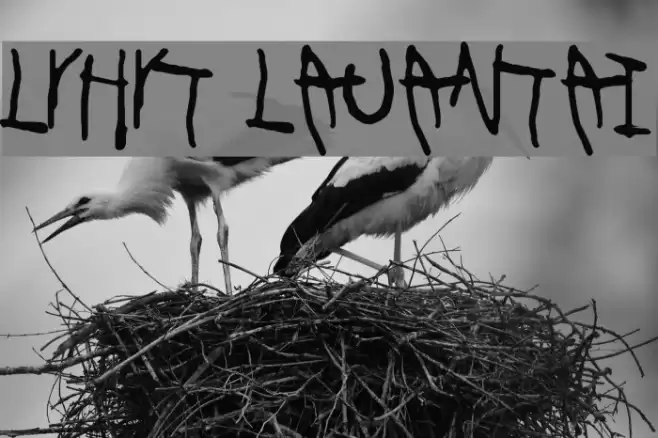 Lyhyt Lauantai Font examples