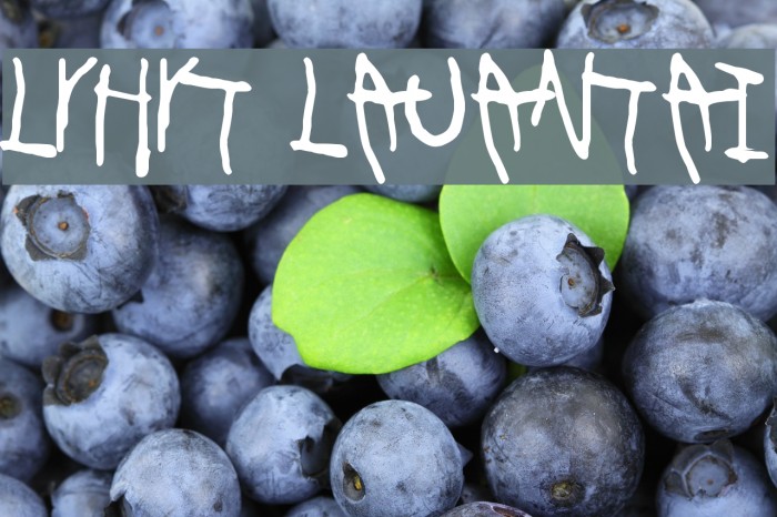 Lyhyt Lauantai Example 3