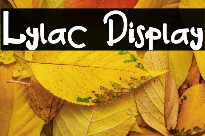 Lylac Display Example 2