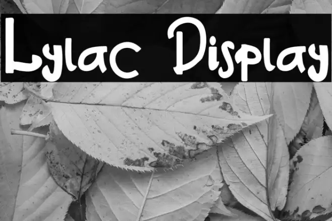 Lylac Display Example 2