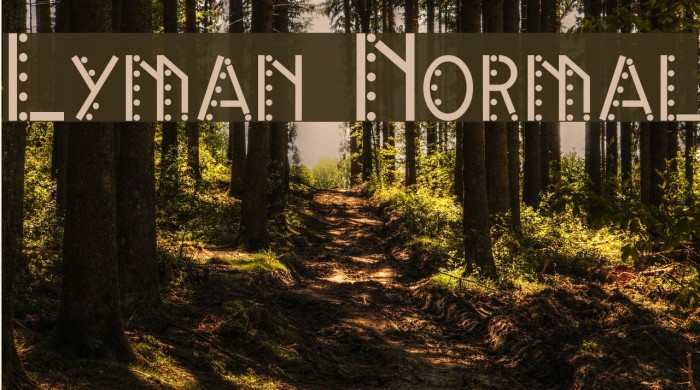 Lyman Normal Font examples