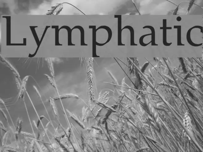 Lymphatic Example 1