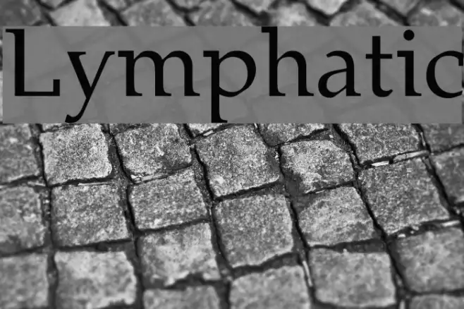 Lymphatic Example 2