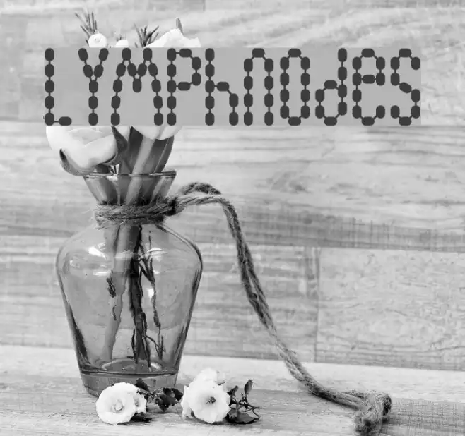 Lymphnodes Example 1