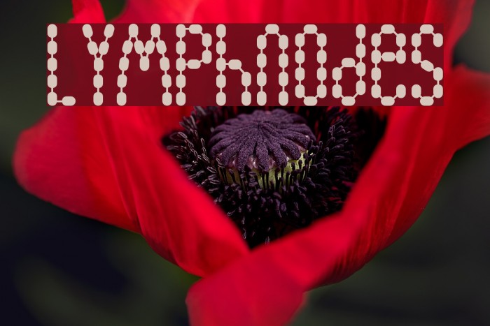 Lymphnodes Font examples