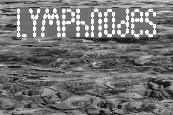 Lymphnodes Example 3