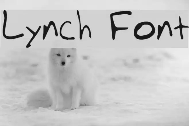 Lynch Caratteri examples